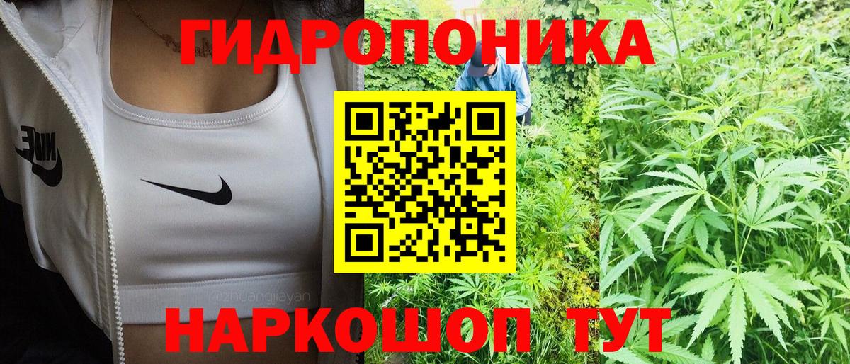 Каннабис сатива  Бошки марихуана индика  Липецк  Вход с VPN  Каннабис план 